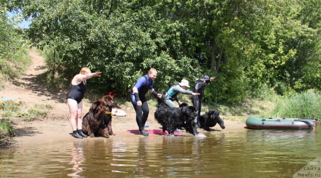 Фотография № 100080