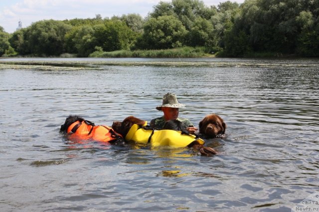 Фотография № 100081