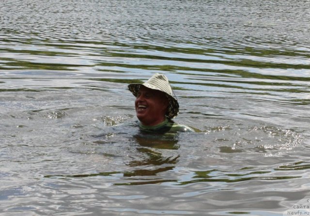 Фотография № 100082