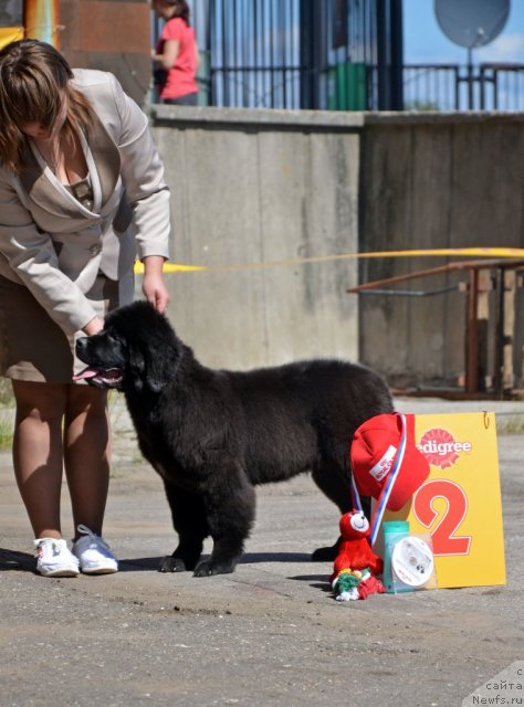 Фотография № 100084