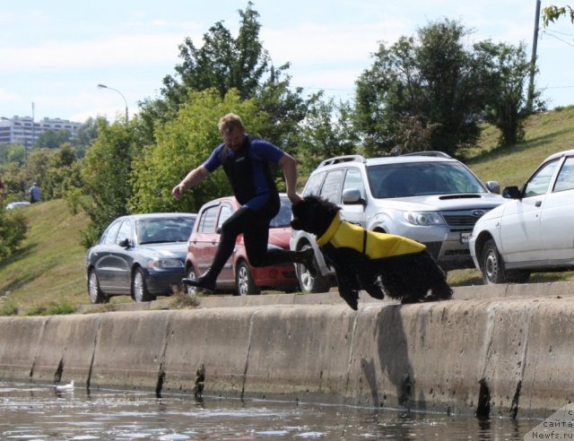 Фотография № 100086