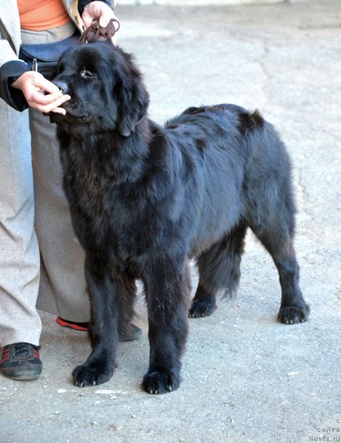 Фотография № 100098