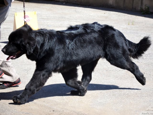 Фотография № 100101