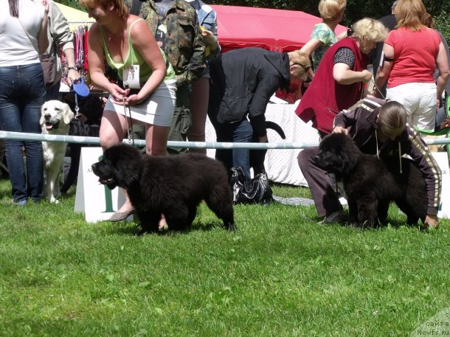 Фотография № 100144