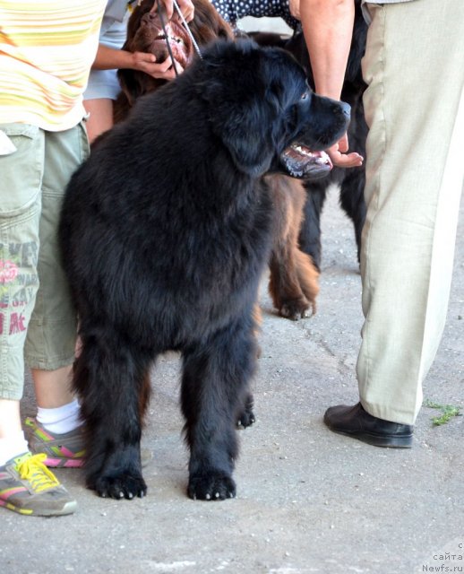 Фотография № 100148