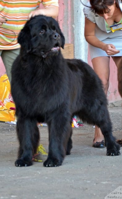 Фотография № 100151