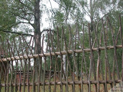 Фотография № 10016