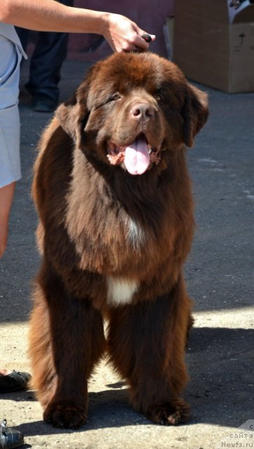 Фотография № 100166