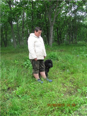 Фотография № 100198