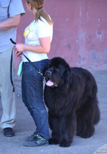 Фотография № 100201