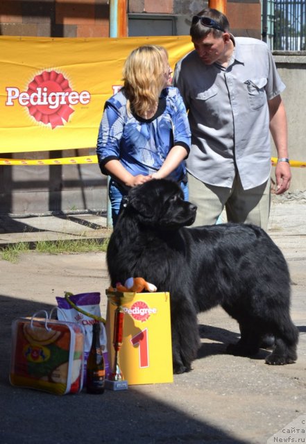 Фотография № 100203