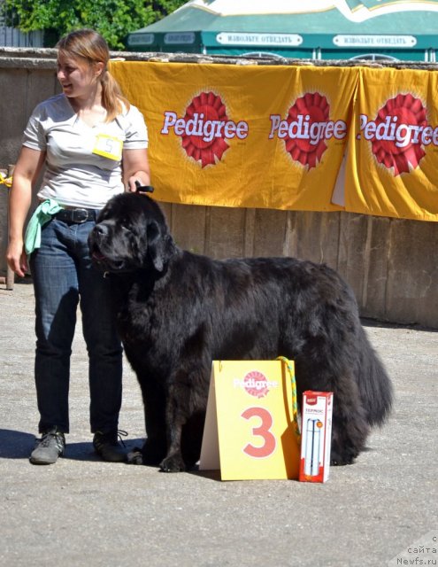 Фотография № 100205