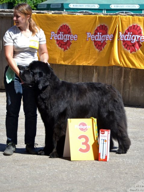 Фотография № 100206