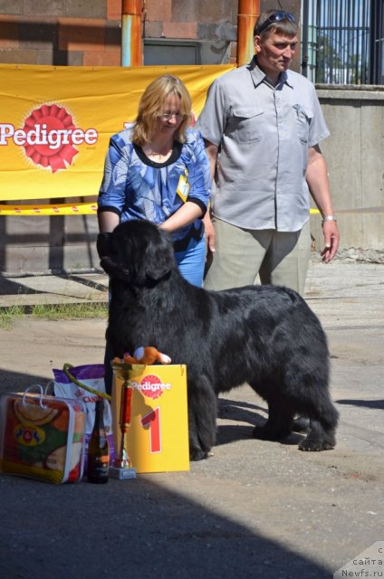 Фотография № 100207