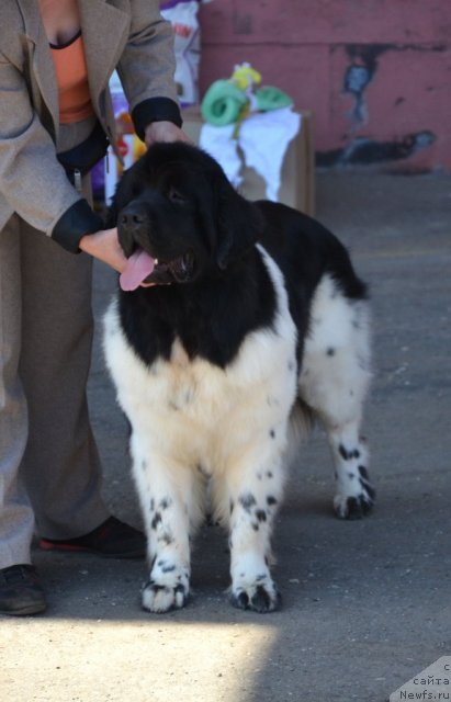 Фотография № 100211