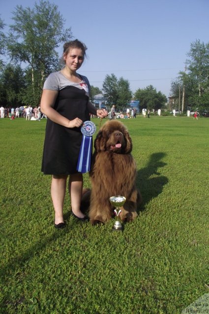 Фотография № 100278