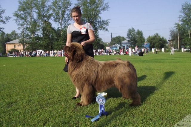 Фотография № 100279