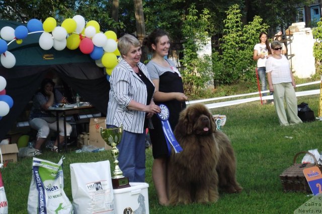 Фотография № 100285