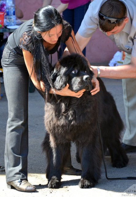 Фотография № 100286