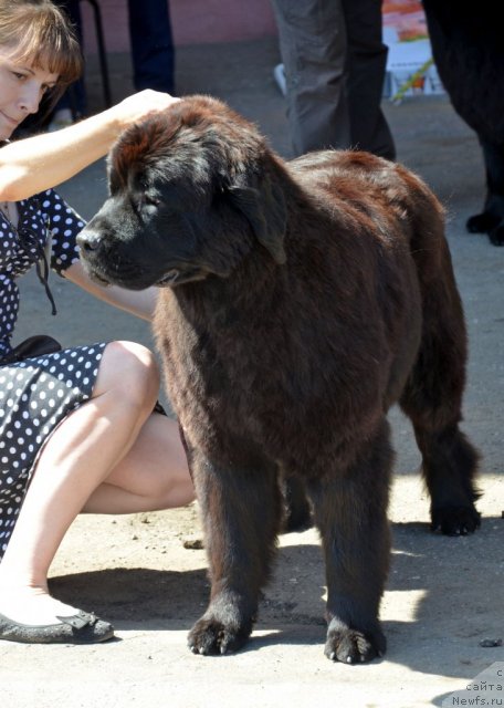 Фотография № 100289