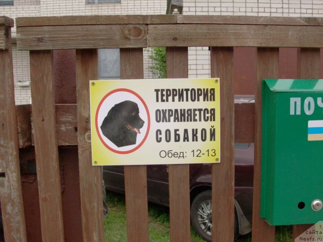 Фотография № 100298