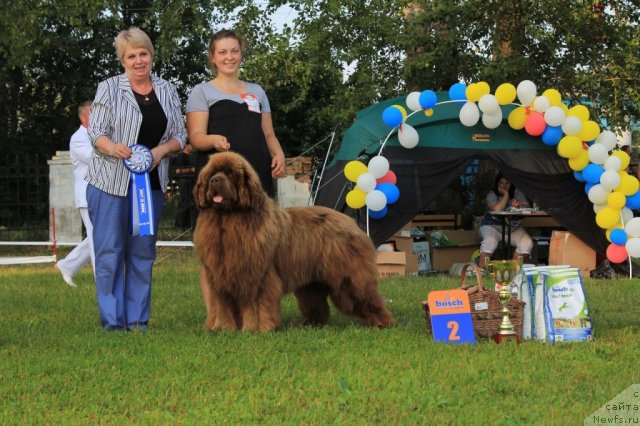 Фотография № 100307