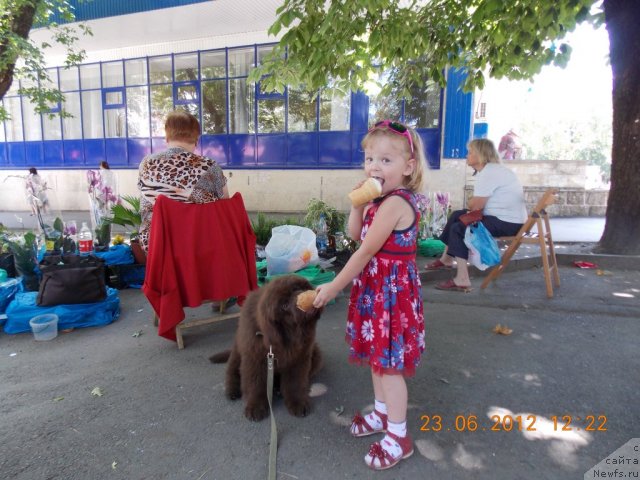 Фотография № 100318