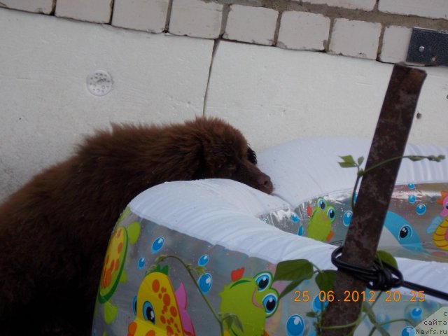 Фотография № 100320