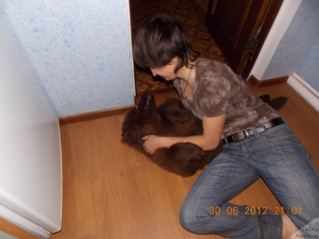 Фотография № 100321