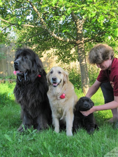 Фотография № 100323