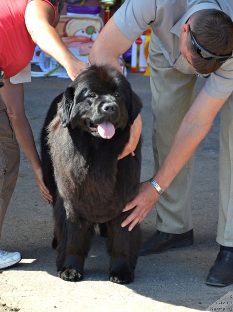 Фотография № 100333