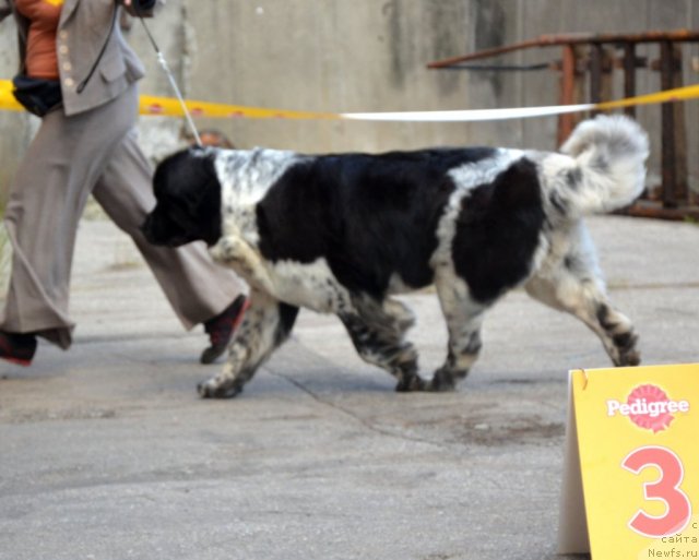 Фотография № 100336