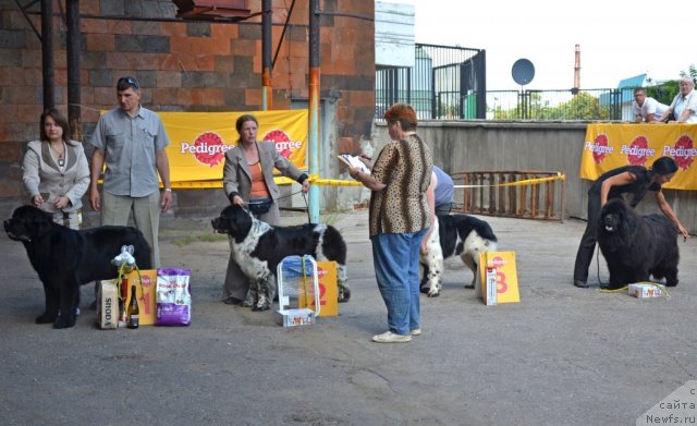 Фотография № 100339