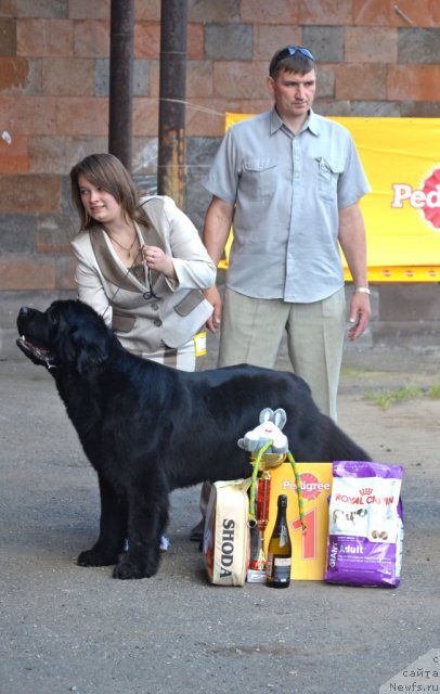 Фотография № 100342