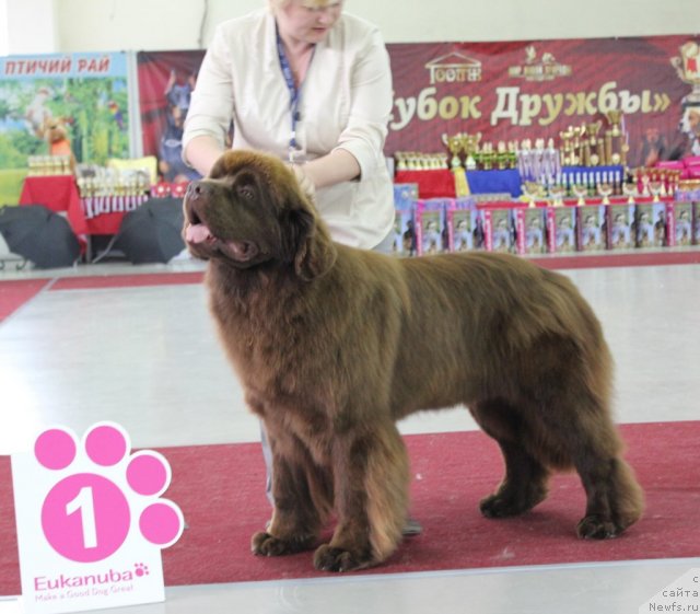 Фото: Акватория Келвин Рэдс Бегин Энд Вин
