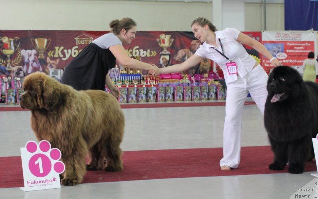 Фотография № 100469