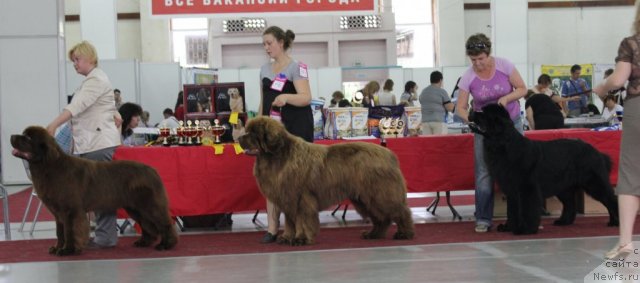 Фотография № 100471