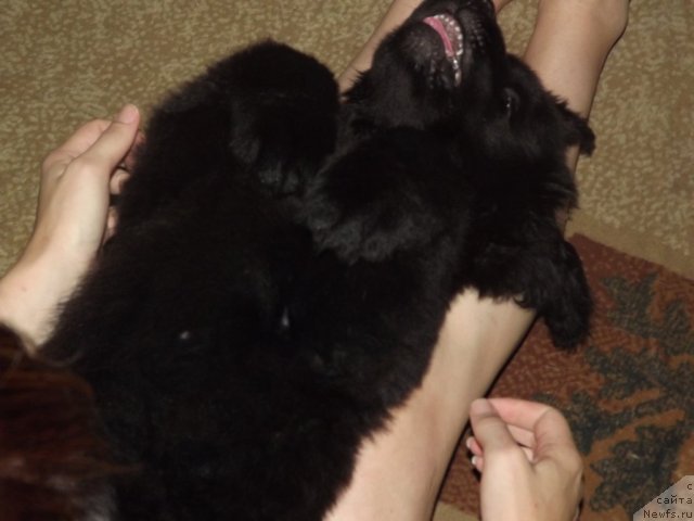 Фото: Елена Цыганова