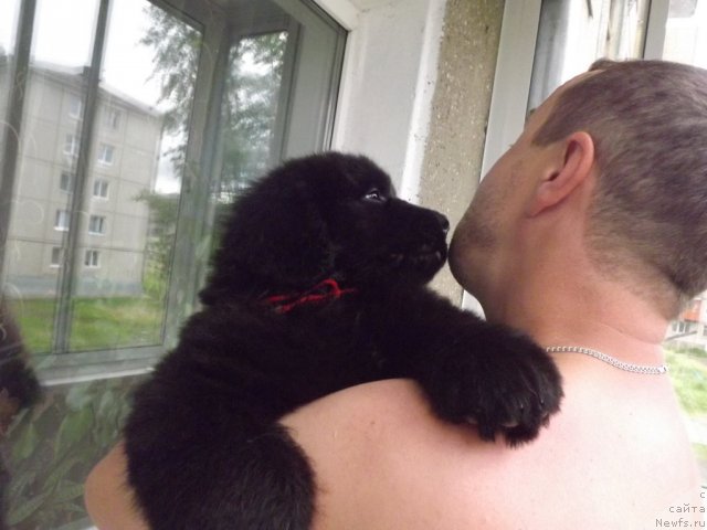 Фото: Елена Цыганова