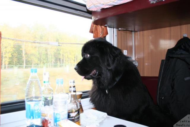 Фотография № 10048