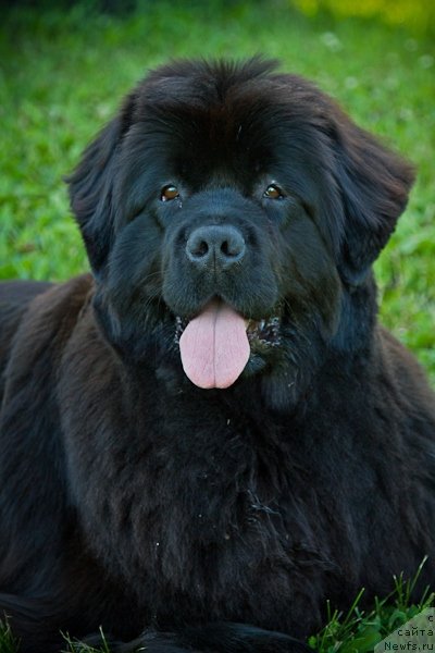 Фотография № 100487