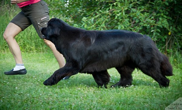 Фотография № 100488