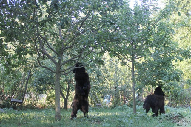 Фотография № 100505