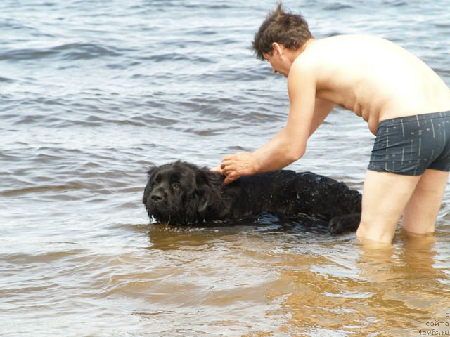 Фотография № 100557