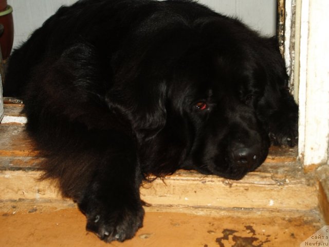 Фотография № 100559