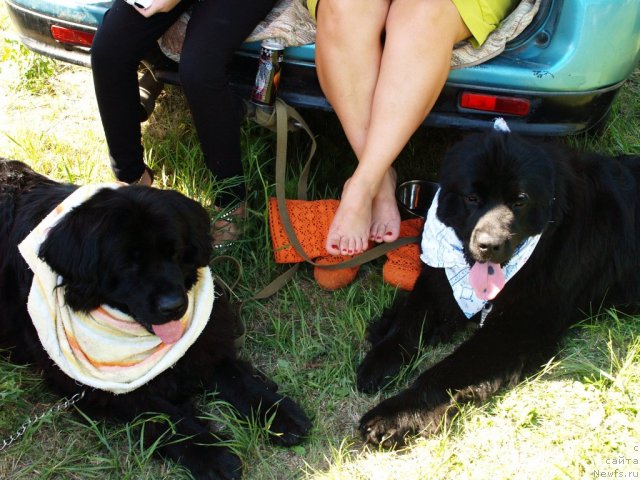 Фотография № 100560