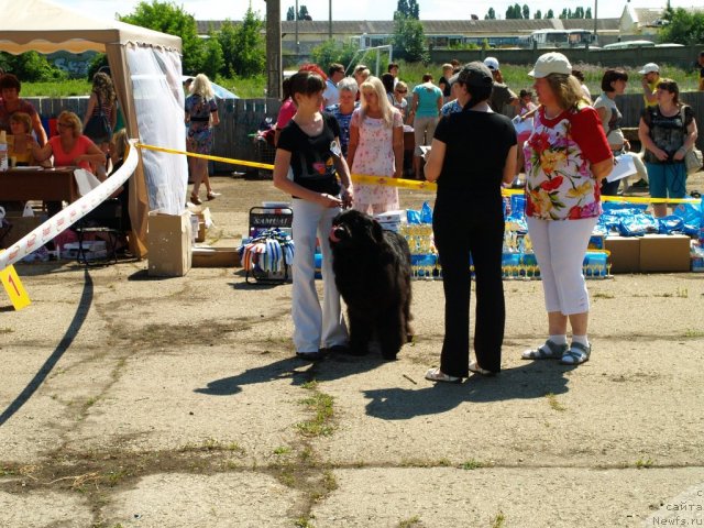 Фотография № 100561