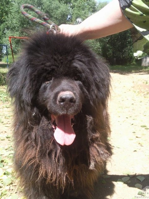 Фотография № 100564