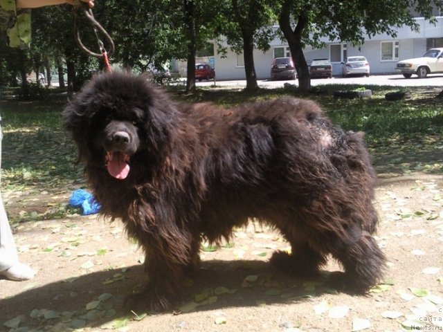 Фотография № 100565