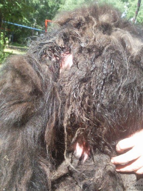 Фотография № 100566